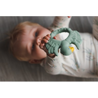 Kramtukas kūdikiams „Žalia papūga“, Natruba - 8