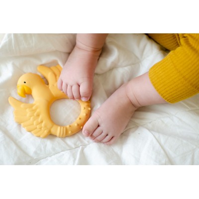 Kramtukas kūdikiams „Geltona papūga“, Natruba - 5